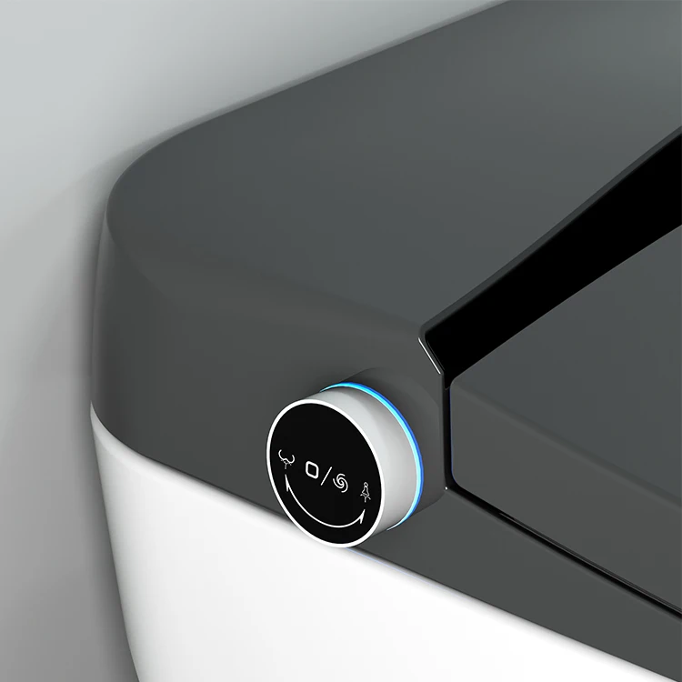 220v Japan One Piece Wc Self Cleaning Full Automatic Flush Sensor