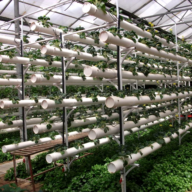 greenhouse hydroponic vegetables vertical farming PVC pipe system