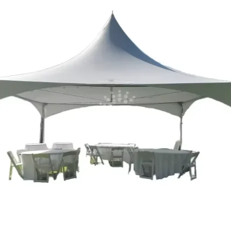 Economic Small Pagoda Tent Canopy White Marquee Pole Tents with Portable Aluminum Frame 10x10ft 20x20ft 30x30ft