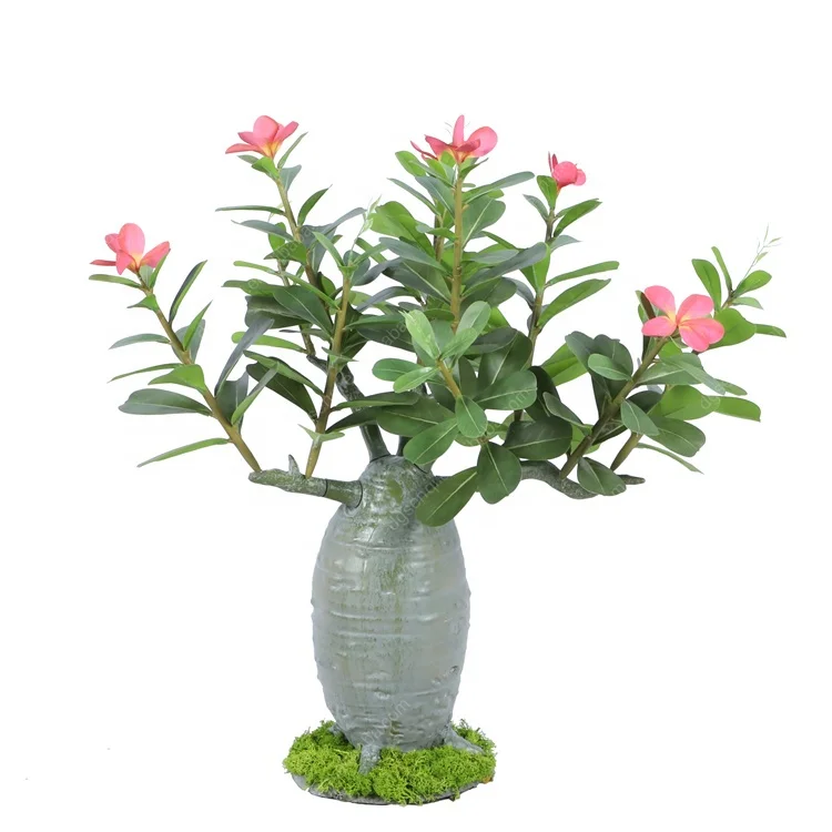 Popular Landscape Plants Adenium Obesum Desert Rose Potted Artificial Plant