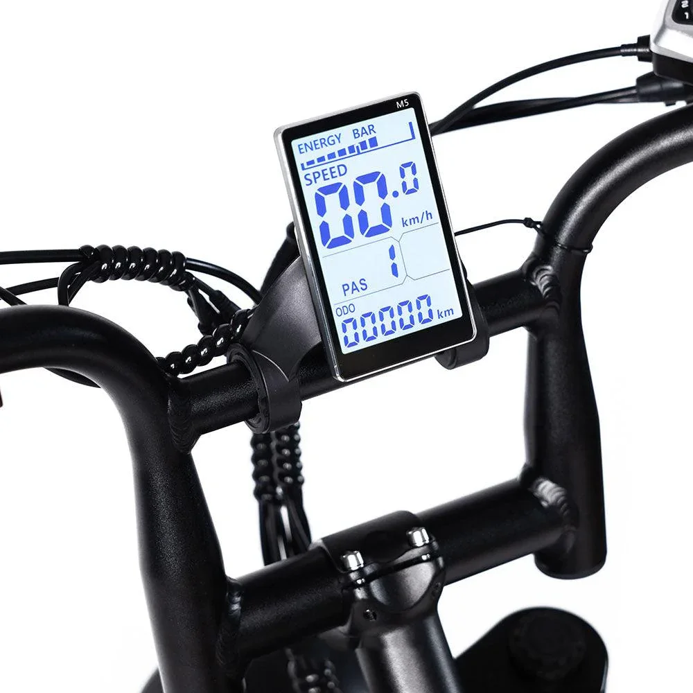 OUXI V8電動自転車 20インチファットタイヤ 250W アダルトバイク