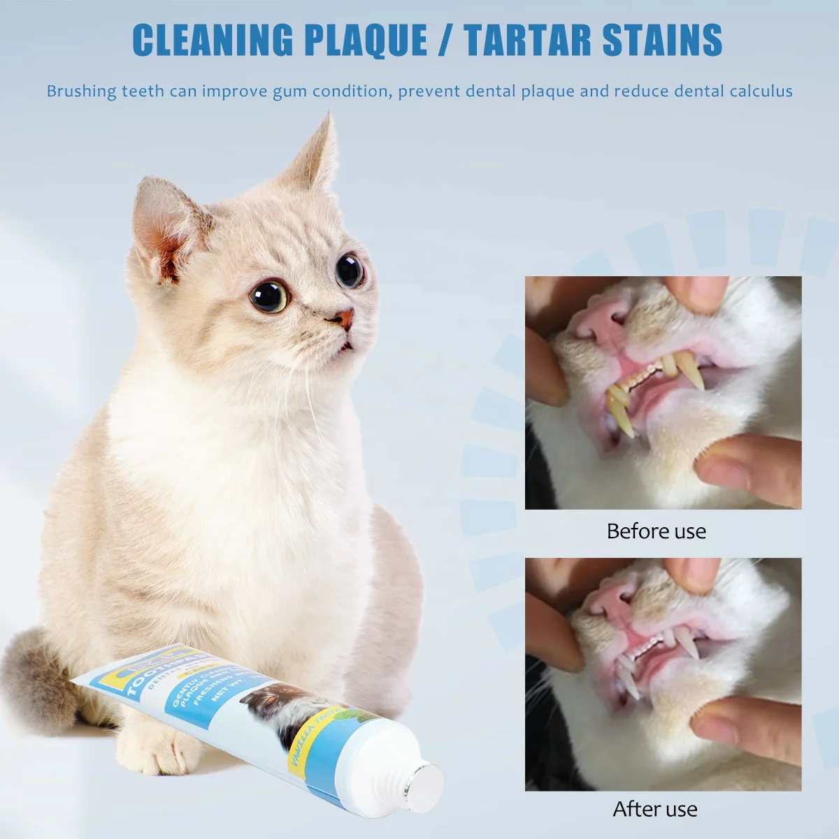 Factory Wholesale Color Box Packaging Vanilla Mint Flavors Cat Tooth Paste Dog Pet Toothpaste Dental Care