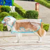 Impermeable transparente puro con ribete azul.