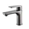 Stainless steel water plating gun gray flat single hole