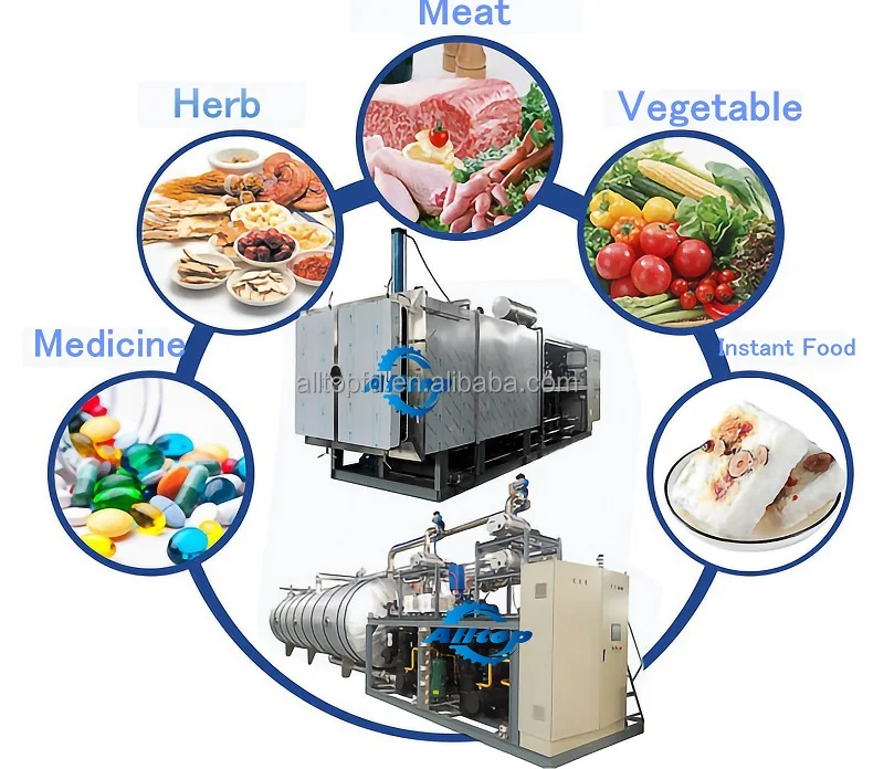 80 Vacuum Fruit 300kg Thailand Industrial Vacuum Drying Freeze Dryer