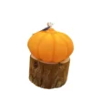 Pumpkin candle