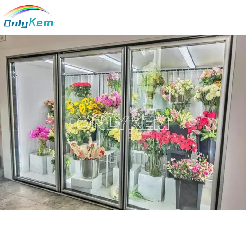 Hot Sale Upright Flower Walk in Cooler Display Walk in Cooler with Glass Door
