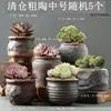เคลียร์แรนซ์ - เซรามิกสโตนแวร์ขนาดกลางแบบสุ่ม 5 ชิ้น