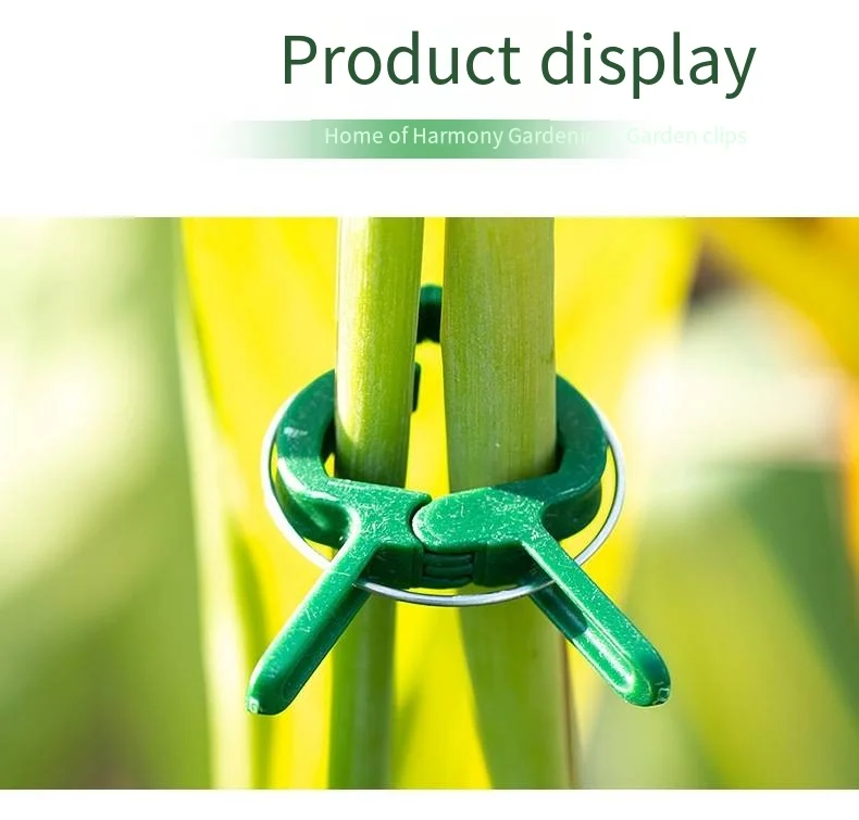 Fixed clip rose climbing vine tomato cucumber buckle seedling vegetable flower stand pole plant binding vine clip support frame supplier