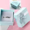 Scatola ad anello