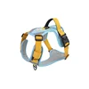 Blue&Yellow