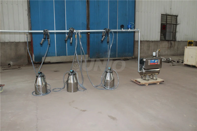 Machine à Traire Électrique 12V - Pompe à Vide Pulsée Pour Âne, Mouton, Vache, Cheval - Accessoire Pratique Et Efficace
