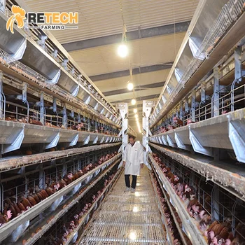 Poultry Farming Equipment Supplier Automatic Battery Egg Layer Chicken Laying Hens Cages for sale
