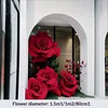 Ensemble de deux fenêtres à rosace rouge