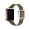 Taupe-silver buckle