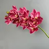 Rosa oscuro