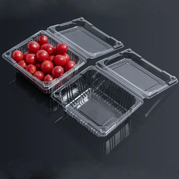 Disposable Plastic Clamshell Food Packaging Container Plastic Fresh