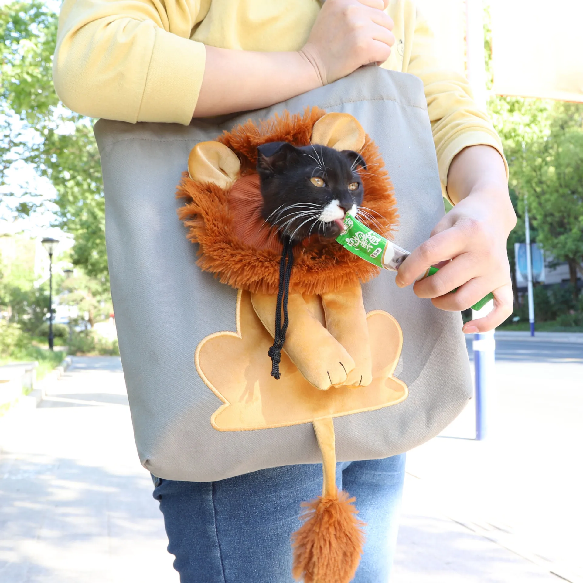 Lion Shape Cat Carrier Bags Adjustable Zipper Outdoor Pet Shoulder Bags  Puppy Slings Bag Canvas Tote Pouch Cat Products