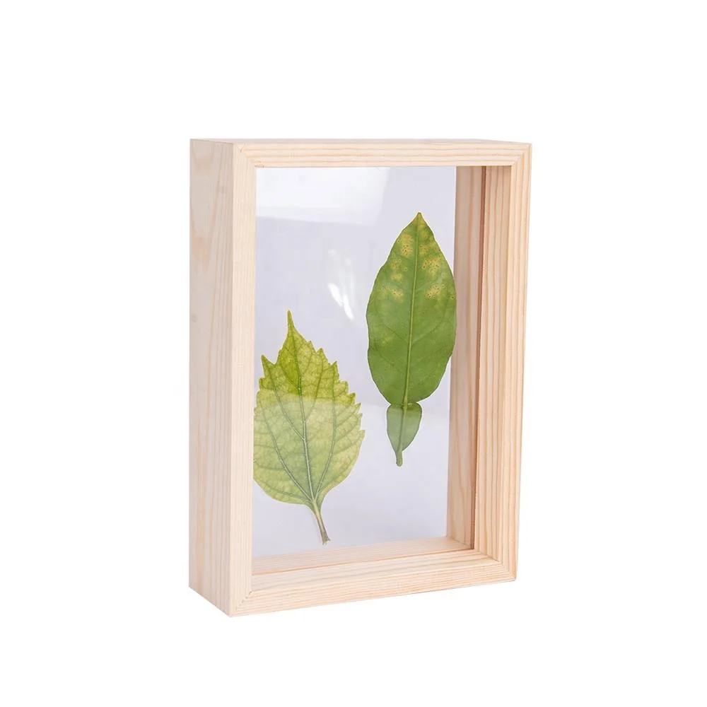 
Деревянные фоторамки 4x6, двусторонние акриловые рамки для гербаритов, растений, рамка для образцов, декор стола для отображения высушенных листьев и цветов 