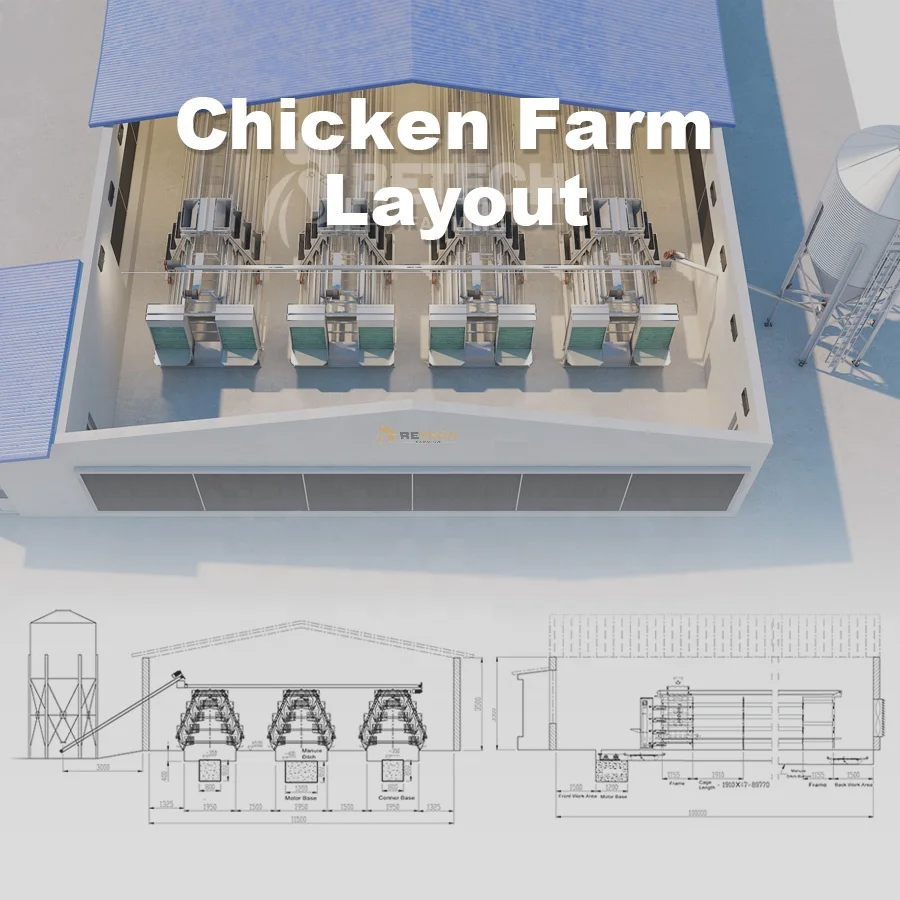 Design Poultry Control Shed Automatic Chicken Layer Battery Cages for Egg Laying Hens