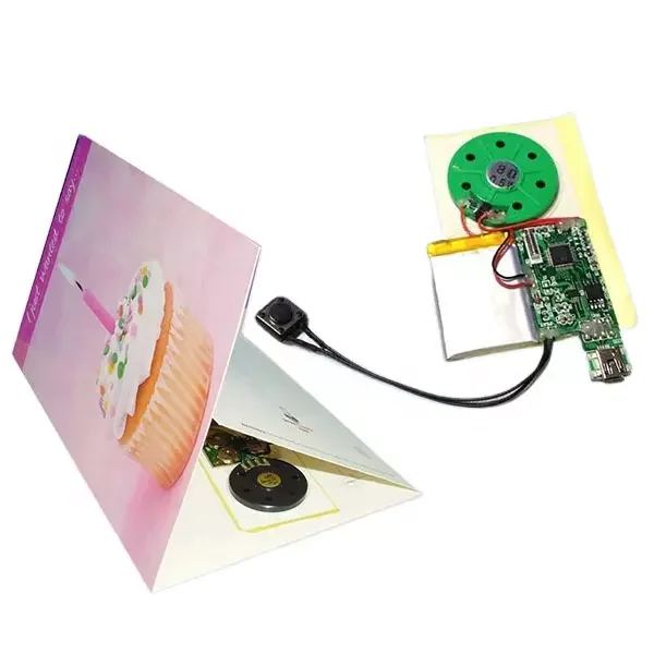 Smart Cheap Factory Fast Ship Greeting Cards DIY Programmable Sound Chip Music Chip Recordable  light Sound Chip for Card Toys
