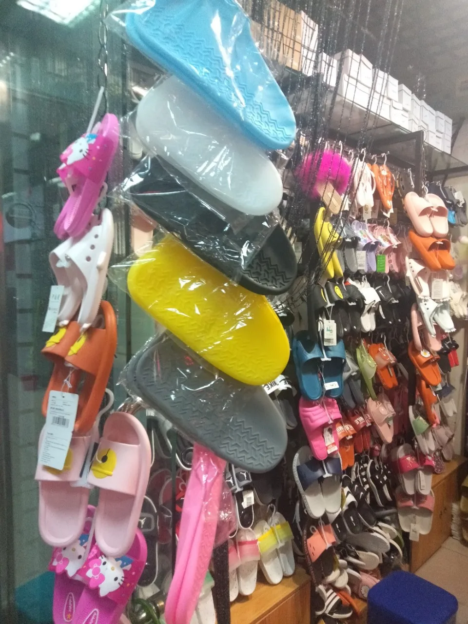 ia_100000272.jpg