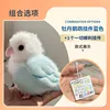 Blue rosy-faced lovebird all-things-go-well hanging ornament