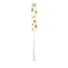 White-2