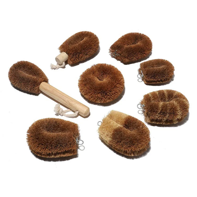 Coconut Kitchen Brush, Multi Purpose Scrubber for Dishes, Plates, Natu –  notimeforwaste