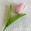 #1 pink tulip