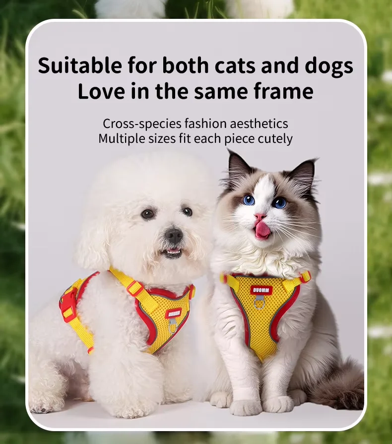 Hot Selling Colorful Vest Style Dog Cat Breathable Harness Leash Adjustable Anti Escape Outdoor Pet Products6