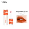 V03 Couleur citrouille