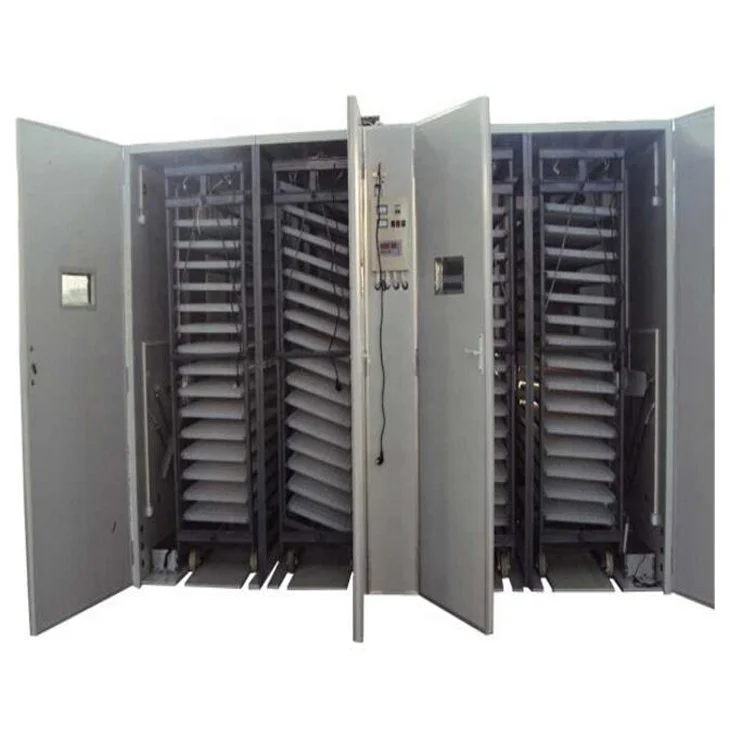Digital Automatic 19712 Chicken Egg Incubator With Power Panel and Battery for Sale