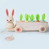 Lapin tirant des chariots radis