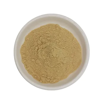 Food and Beverage Additives Pure Prune Fruit Extract Powder in Bulk
