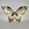 Farfalla bionica color arcobaleno con luci