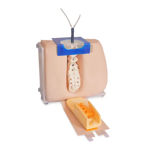 Lumbar Puncture Model