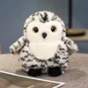 Snowy Owl