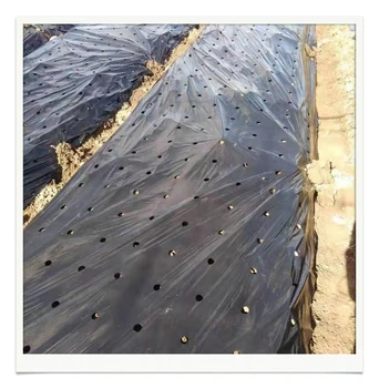 China manufacture quality Black shade cloth mulching film with holes for vegetables