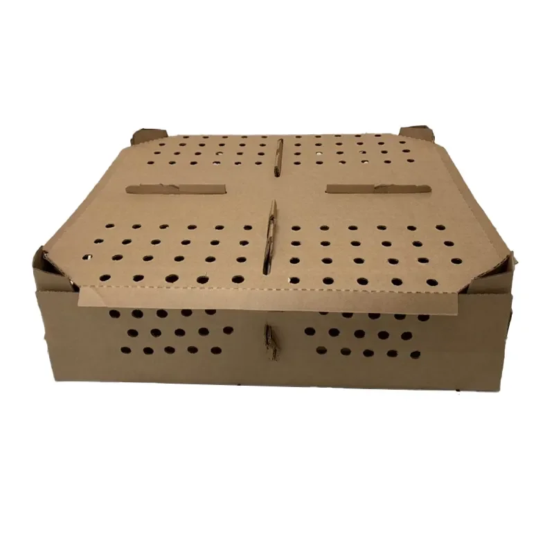 Day Old Chicks Transport Box Factory Bird Box Shipping Divided Baby Chick Transport Carton Carrying Boxes
