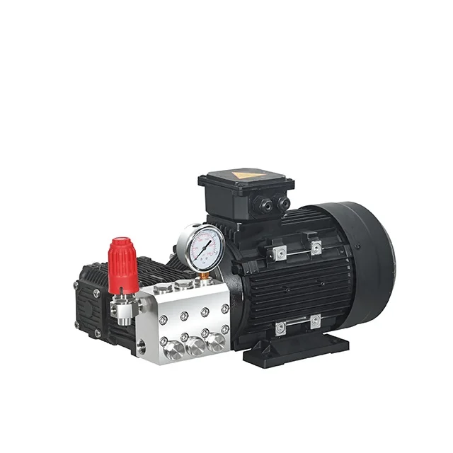 BOTUO ELT Series 30 Lpm 100 Bar Stainless Steel High Pressure Pump with Electric Motor for SWRO