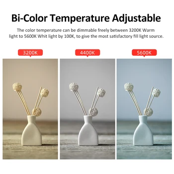 Kingma Adjustable Bi-color LED 40W Ring LED Light for Selfie Professional Photography Tiktok Live Streaming detail image