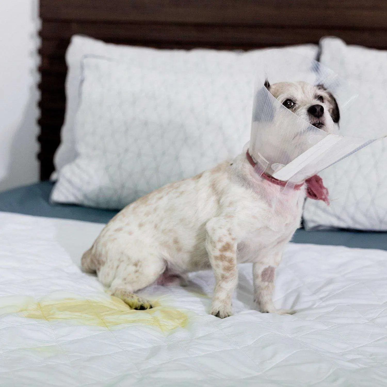 Washable Bed Pad With Wings