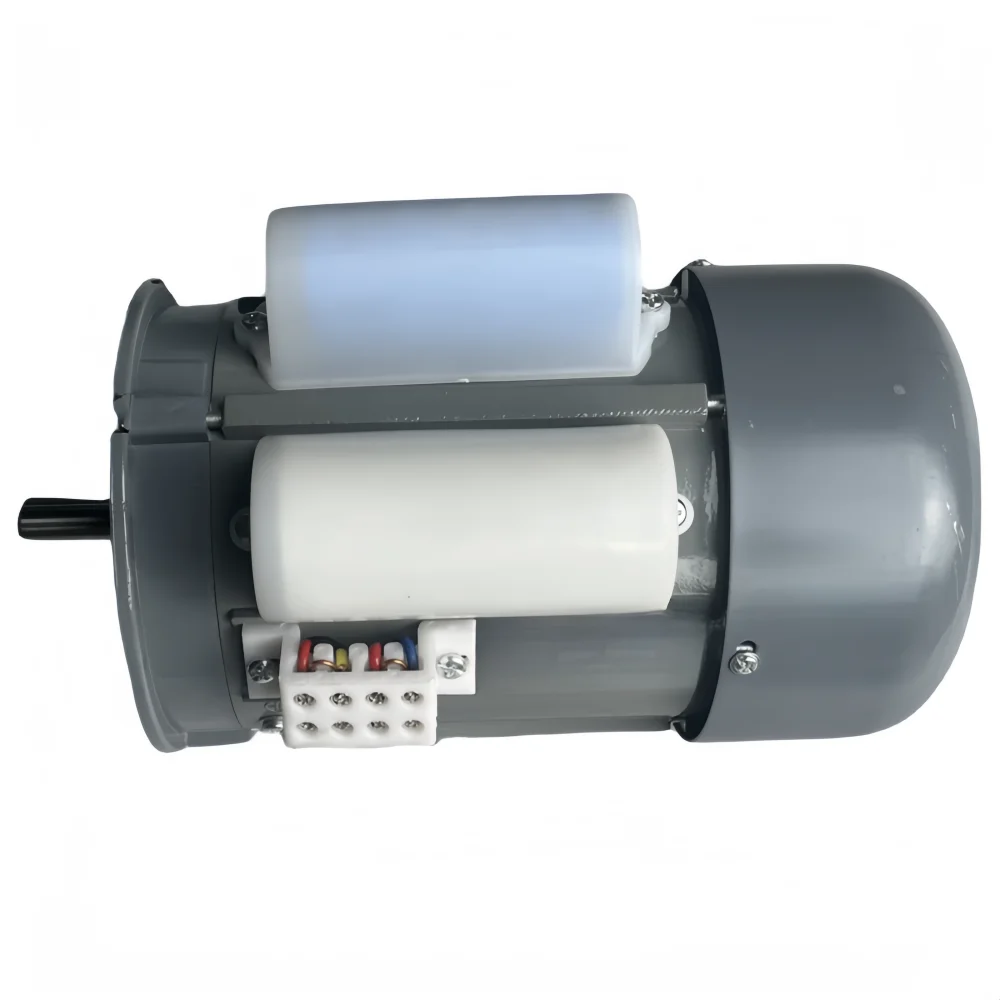 YL Series AC Small Electric Asynchronous Single Phase  Induction Motor