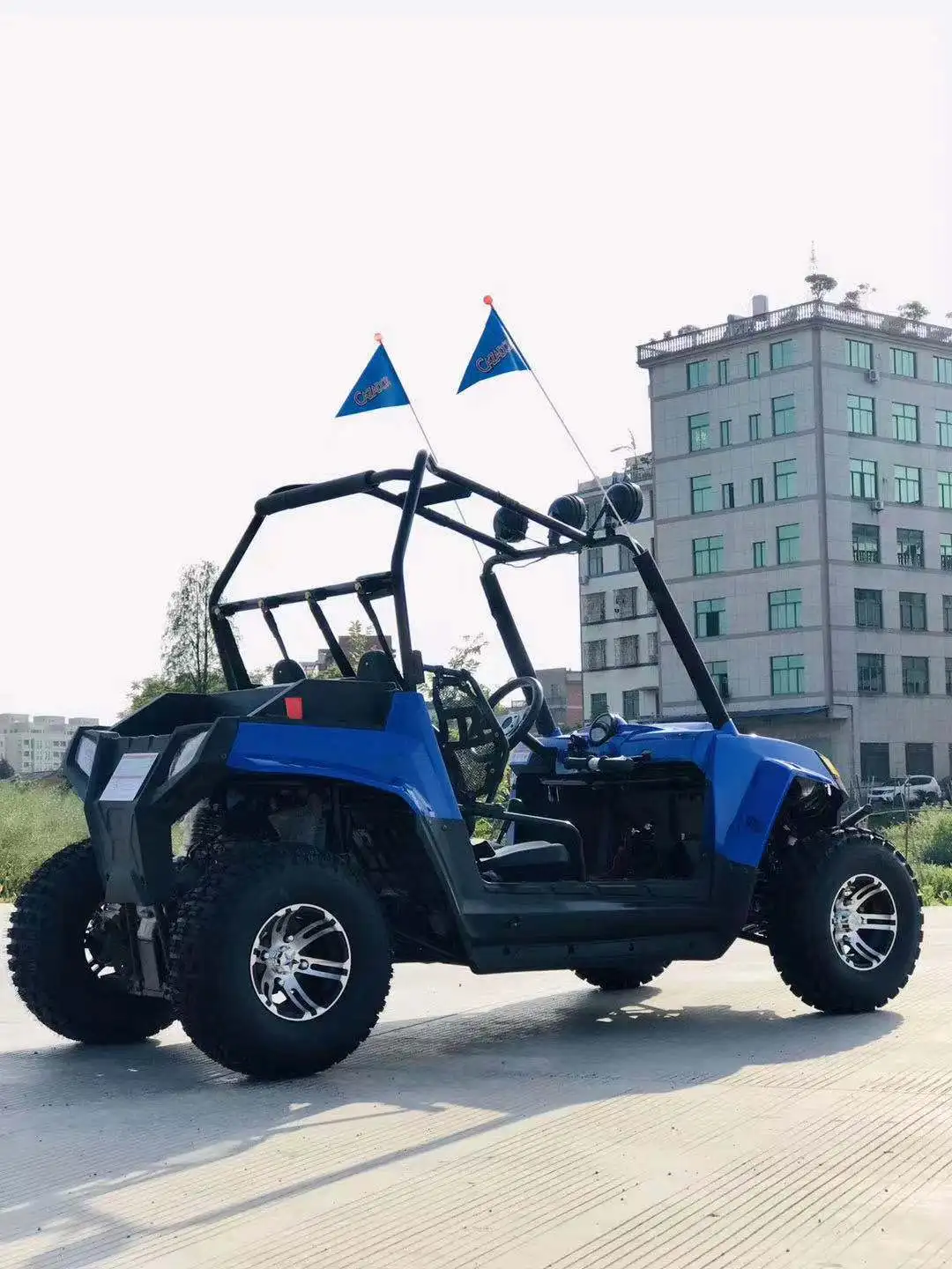
 Внедорожный пляжный багги, вездеходы 125cc 200cc 300cc utv mnufacturers  