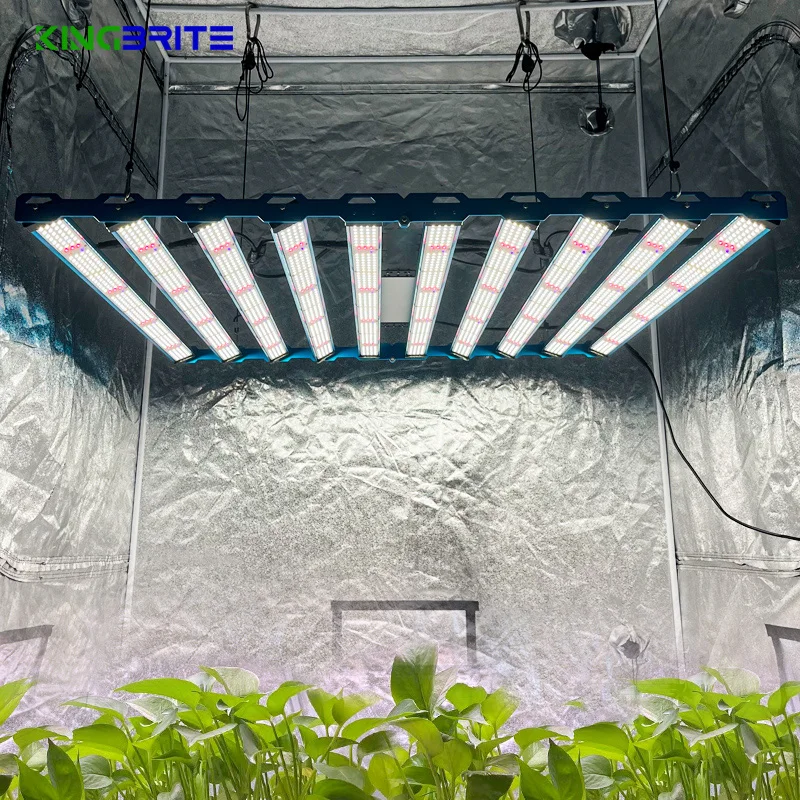 Kingbrite 1000W LM301H EVO LED Grow Lights - Efficient & Durable