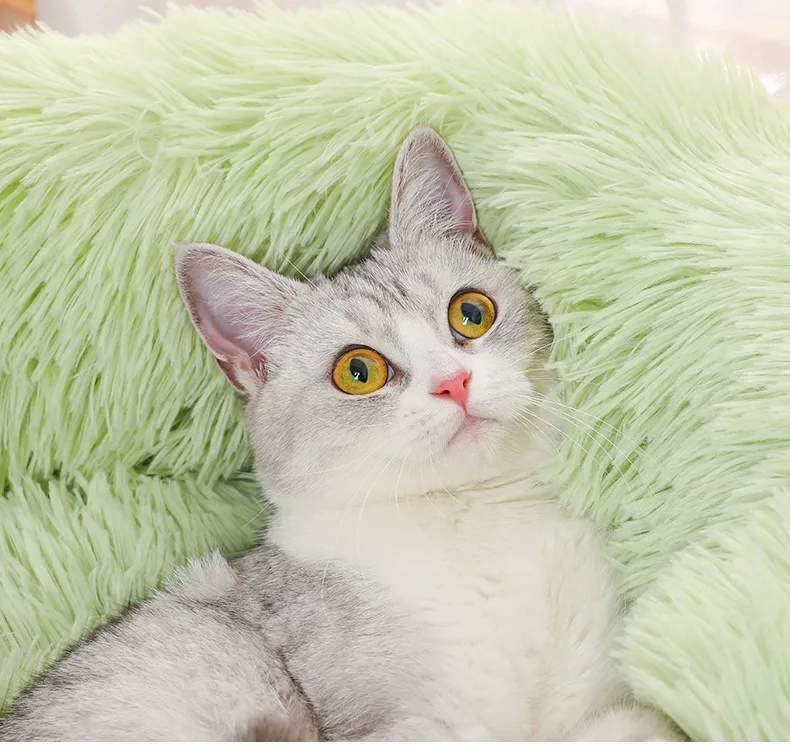 H365e0a84ae294413b5cc61ccddf99912i