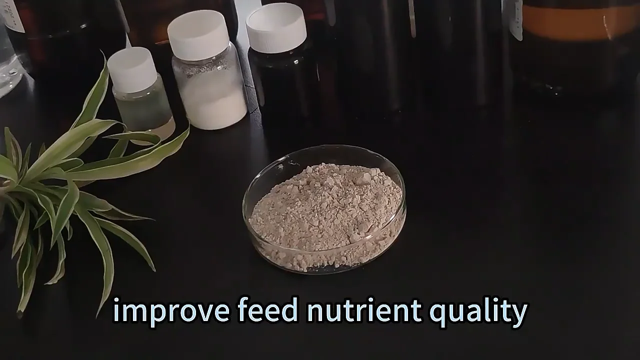 Rabbit Feed Premix Mycotoxin Binder Horses Buy Mycotoxin Binder