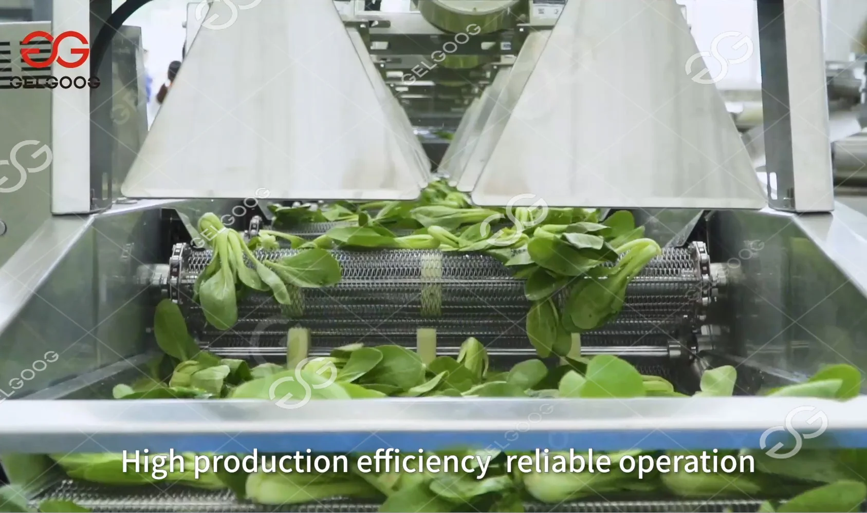 Commercial Clean Root Leafy Vegetable Asparagus Washing Equipment Line Vegetable Washing Peeling Machine