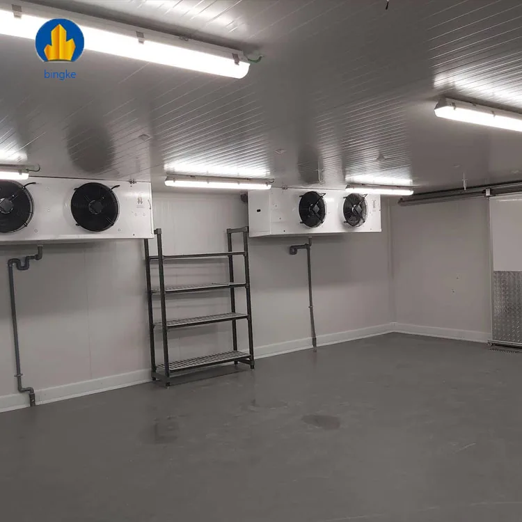 Deep Freezer Cold Room Storage Equipment Daikin Copeland Frascold Sanyo Bristol Compressors Gear Bearing Core for Home Use